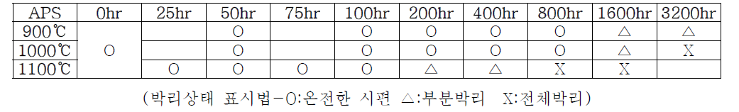 온도별, 시간별에 따라 제작된 APS 시편의 종류 및 박리상태