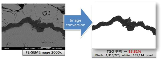 이미지의 픽셀수를 이용하여 면적환산을 통한 TGO의 두께를 측정하는 기법
