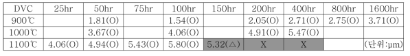 DVC 코팅의 TGO두께 분석결과