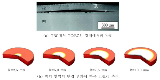 반경 변화에 대한 박리영역의 TNDT