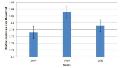 Quantitative measurement of the expression levels of bacterial genes under salt stress in B. subtilis GB03.