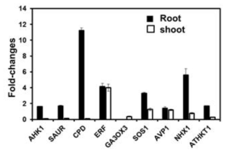 Changes in gene expression in hormonal pathways and specific key ion transporters in root and shoot tissues after exposure of 10-day-old Arabidopsis seedlings under salt stress to volatiles from JBCS1294 for 24 h.