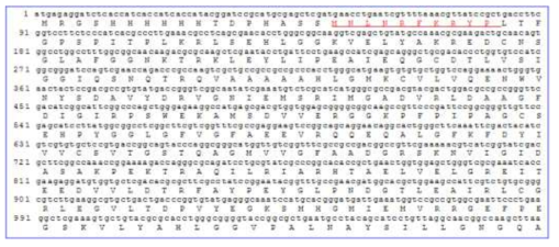 The deduced amino acid sequences of a P. fluorescens ACCd clone, PfACCd.