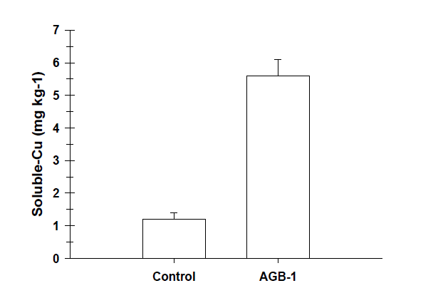 Water-soluble Cu contents in control (without bacteria inoculated) and AGB-1 inoculcated flaks at 48h of growth period.