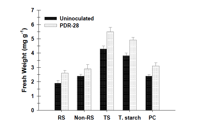Role of PDR-28 on maize reducible-non reducible sugars, total sugars, total starch and protein yield.