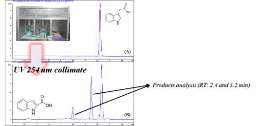 Influence of UV254 irradiation on indole-3-acetic acid form by HPLC analysis. Standard indole-3-acetic acid (A); UV 254 irradiation products (B).