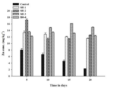Removal percentage of Zn in control, SH-1, SH-2, SH-soil leachate in different time interval. Error bars indicate standard d3eavniadt ioSnH -of4 mtereaantse, d wmheinree absent, bars fall within symbols