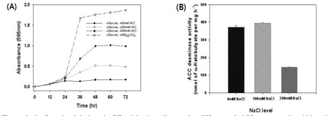 Growth of isolate in DF minimal medium under different of ACC concentration (A) and ACC deaminase activity from Herbaspirillum sp. GW103 strains (B). Each value is the mean of triplicates.