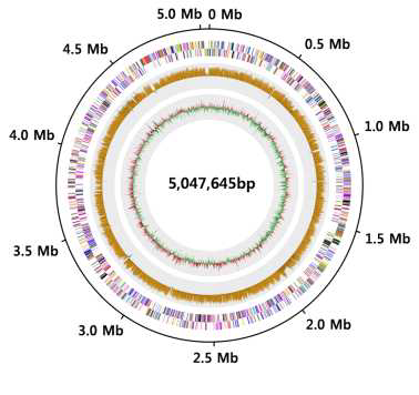 The genome of Herbaspirillum sp. GW103. From inside to outside 1) G+C content; 2)GC skew; 3) Genes color-coded according the COG functional categories.