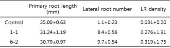 Quantification of Arabidopsis root development