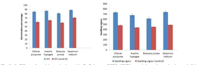 Effect of seed bacterization with P. Polymyxa RCP6 (GUB) on (a) seed germination and (b) early vegetative growth of Clitoria purpurea L., Arachis hypogea L., Sesamum indicum L., Brassica juncea L. under pot trials (20DAS).