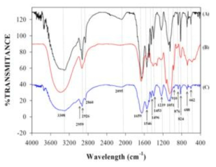 FT-IR analysis of C. freundii JH 11-2 strain producing EPS (B), cell membrane of growth in with 100 mg L-1 cadmium (A) and without cadmium (C). Arrow has shown wavelength of IR peaks respectively.
