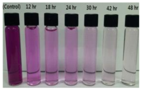 Estimation of Cr (VI) concentration with changing time by inoculation of B. pseudomycoides JH 2-2.