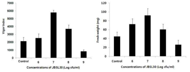 Effect of JBLS30 concentration on growth of Chinese cabbage.