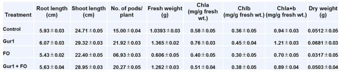 The various growth parameters of Arabidopsis treated with Gur1 w/ or w/o F. oxysporum.