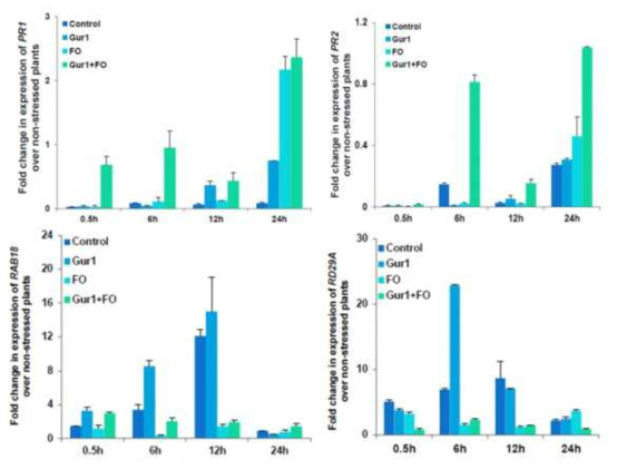 The expression of defensive- and stress responsive marker genes under Gur1 treated conditions.