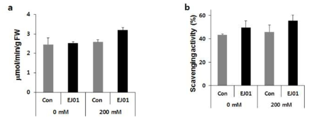 The measurement of ROS scanvenging activities in tomato treated with EJ01