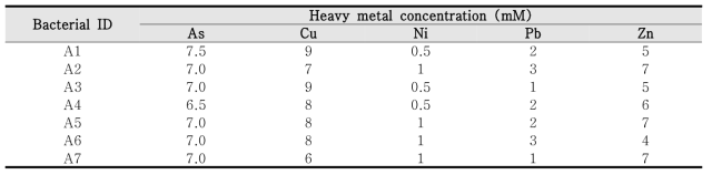 Heavy metal tolerance of selected rhizosphere bacterial isolates