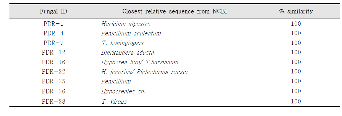 18S rDNA analysis of selected fungi and their closest similarity sequences from NCBI