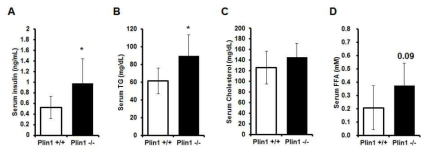 Plin1 KO 생쥐에서 혈중 인슐린, 중성지방 및 콜레스테롤, 유리 지방산 측정