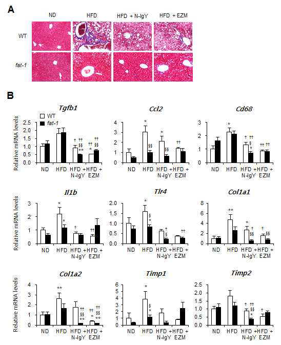 n-3 PUFAs and N-IgY ameliorate high fat diet-induced non-alcoholic steatohepatitis through reduced hepatic stellate cell activation.