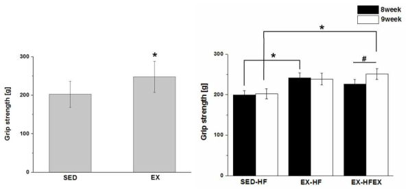 Effect of 8 weeks of resistance exercise on grip strength.