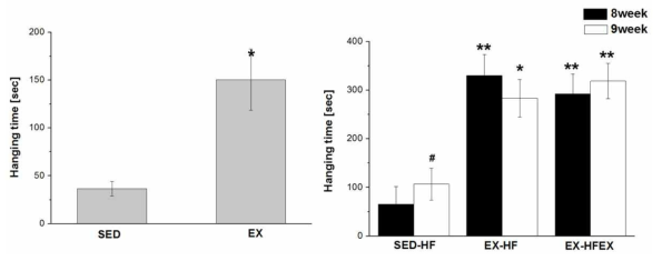 Effect of 8 weeks of resistance exercise on muscular endurance capacity.