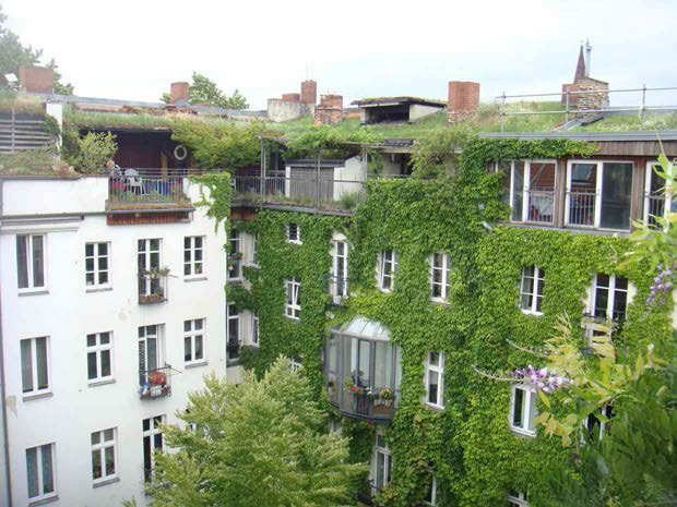독일 베를린 IBA 건물 벽면 녹화 사례