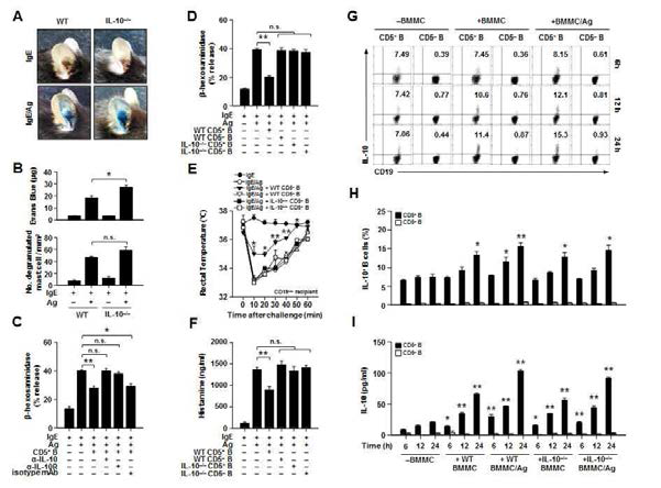 IL-10 의존적인 CD5+ B 세포의 IgE 매개한 아나필락시스 조절 효과 확인