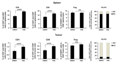 종양미세환경 및 비장에서의 effector T 세포, 조절 T 세포 및 M2 대식세포의 분포 및 Vitamin E 처리후 변화