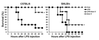 Annexin A5 투여 후 LPS 유도 Endotoxemia 마우스 모델의 생존율