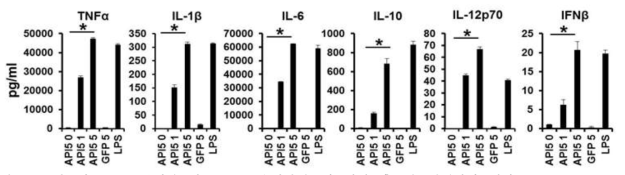 재조합 API5 단백질 및 LPS를 수지상세포에 처리 후 세포활성화에 의한 pro-inflammatory cytokine 분비 기능 측정
