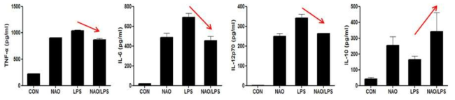 NAO에 의한 LPS에 대한 면역관용 기능 분석