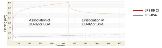 DD-02과 내독소간의 결합여부 분석