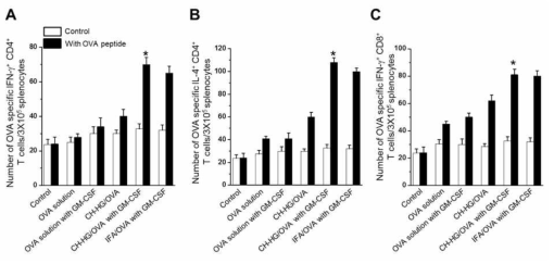 항암면역에 관련이 깊은 IFN-γ+ CD4+, IL-4+ CD4+, 그리고 IFN-γ+ CD8+ T 세포의 활성을 확인