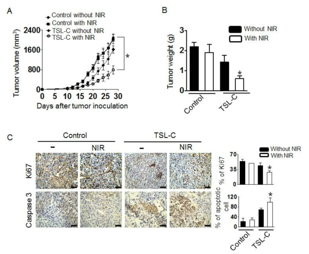 유방암세포주 (MDA-MB231)가 형성되어 있는 쥐에게 NH4CO3+독소루비신이 로딩된 열민감성 리포좀의 항암효능평가