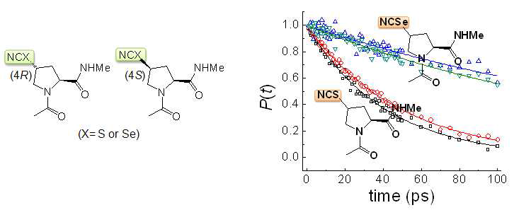 NCS- 또는 NCSe- 적외선 감지체가 도입된 프롤린 합성 및 시분해 적외선 분광법 을 활용하여 측정한 진동 수명 이완 동력학 (vibrational population relaxation dynamics).
