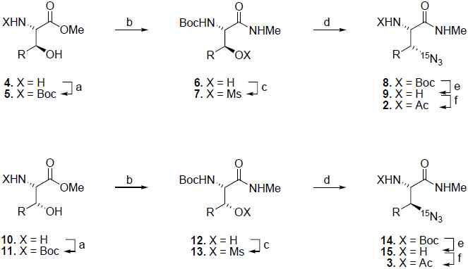 (a) (Boc)2O, NaHCO3, MeOH/H2O (1:1); (b) 40% MeNH2, MeOH; (c) Ms-Cl, Et3N, CH2Cl2; (d) Na15N3, DMF; (e) HCl, dioxane; (f) Ac2O, Et3N, CH2Cl2.