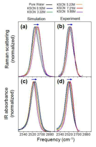 다양한 농도의 KSCN 수용액의 OD 라만과 진동흡광 스펙트럼 (실험과 이론의 비교)