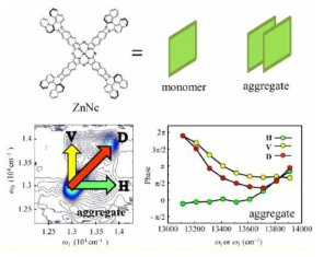 아연 나프탈로시아닌의 응집체에 대한 2차원 전자 스펙트럼 분석