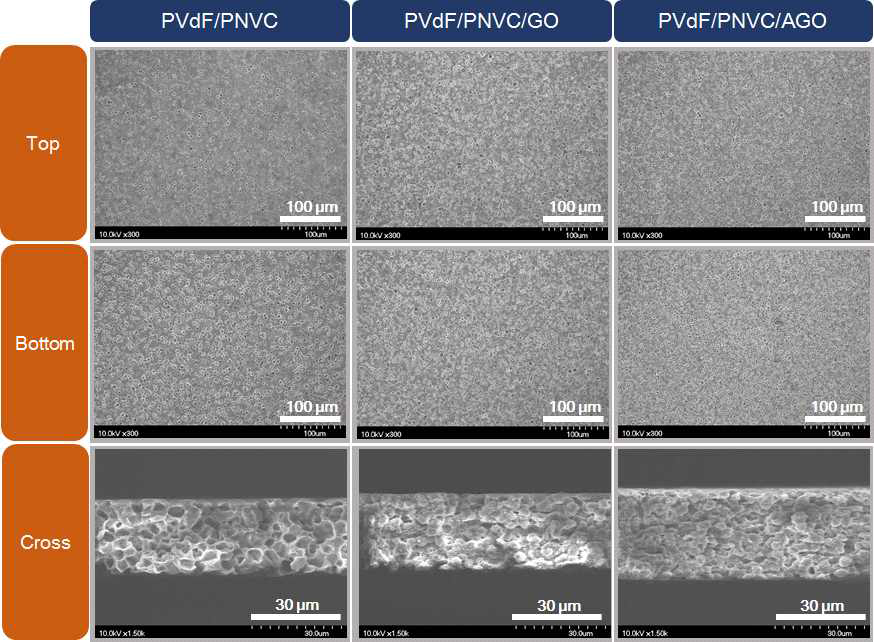 PVDF/PNVC, PVDF/PNVC/GO, PVDF/PNVC/AGO 다공성 복합막 3종의 상․하부 표면 및 단면의 구조 비교