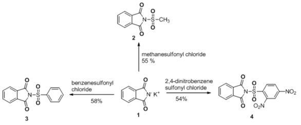 Phthalimide 유도체 합성 방법(1)