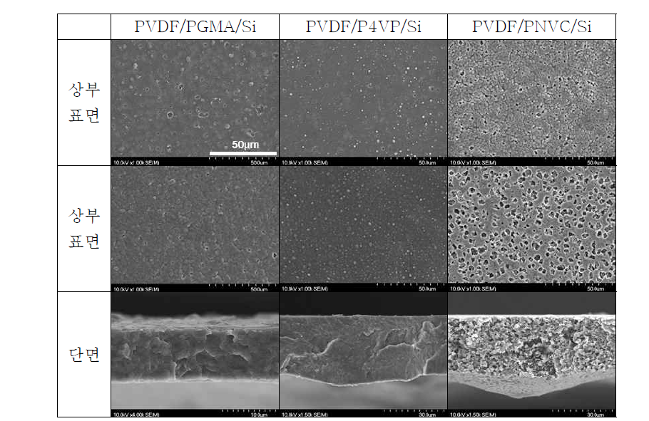 PVDF기반 유무기 복합막 3종의 상․하부 표면 및 단면의 구조 비교