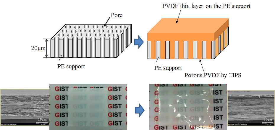 PE 지지체 위에 공극 조절용 PVDF thin layer를 형성하는 방법
