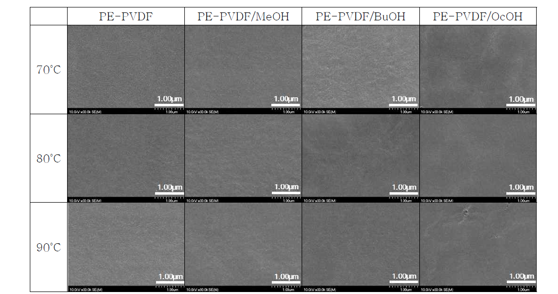 PE 지지체 위에 공극 조절용 PVDF thin layer의 표면 구조 비교