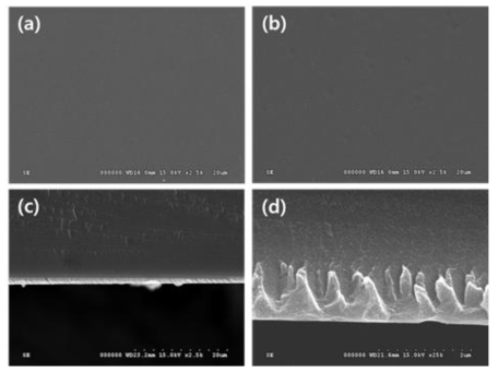 (a) BPS32 (surface), BPS32/SPS-50-single ((b) 표면, (c) 단면), and (d) BPS32/SPS-100-single (단면) SEM 이미지.