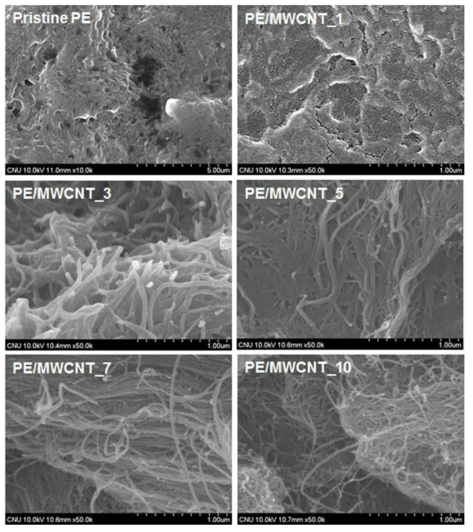 SEM images of fractured surfaces for pristine PE and its nanocomposite films with MWCNT contents of 1.0−10.0 wt%.