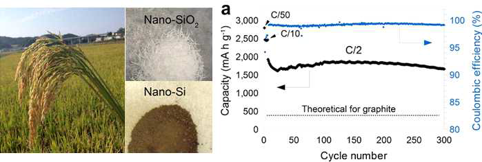 왕겨로부터 추출된 나노 실리카의 음극재 응용