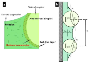 Schemes illustrating (a) the methanol accumulation induced the formation of the gel-like layer and (b) the origin of the lateral capillary forces induced via deformation of the solution surface when the film is thin.