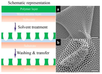 Schemes illustrating the fabrication of a micro-porous membrane via an improved phase separation method. FESEM images present (a) a wrinkled membrane and (b) a membrane covering over a dust. Scale bars are 20 μm.